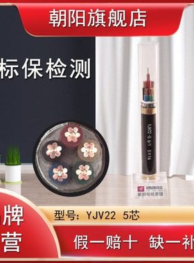 YJV22 5*2.5 4 6 10 16 25 35 50 70 95 120 150 185 240铠装电缆