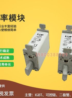 快速熔断器保险丝170M1558D/1559/1559D/1560/1560D/1561/1561D