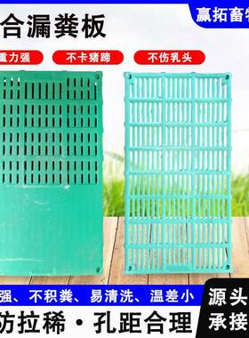 复合漏粪板鸡鸭鹅养殖漏粪板母猪羊产床板猪羊圈舍BMC复合漏粪板