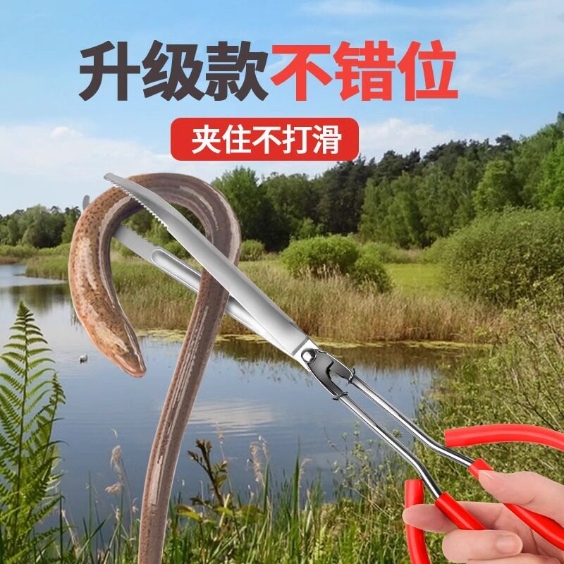 加厚不锈钢防滑黄鳝夹蟹钳赶海