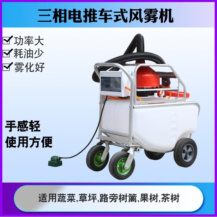 电动喷雾器农用高压打药机插电喷雾消毒手推式风雾机洒果树打农药
