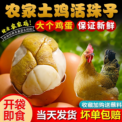 新鲜开袋即食13天活珠子毛蛋官方