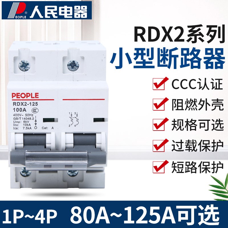 RDX2LE漏电断路器漏保空气开关带漏电保护1P100A125A80A人民电器