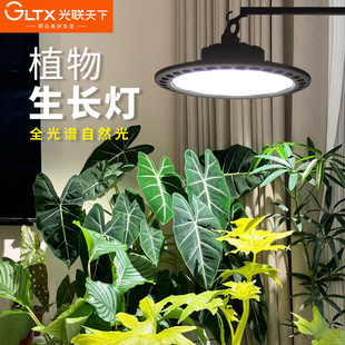 光联天下全光谱补光灯室内阳台绿植生长灯仿自然光太阳光