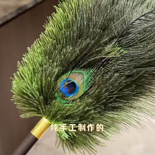 新家的快递雀鸵羽除尘掸子鸡毛掸子加密洁扫灰