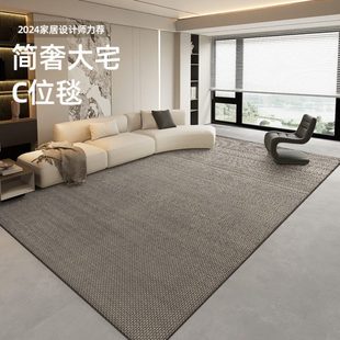 耐脏家用耐磨地毯地毯卧室家用 2024地垫毯子茶几沙发除尘客厅新款