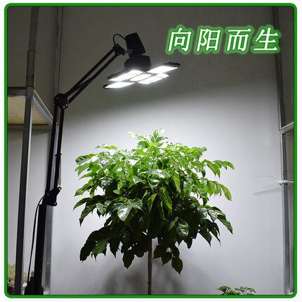 LED生长灯全光谱大棚月季卉蔬菜补光灯多肉补光灯绿植灯