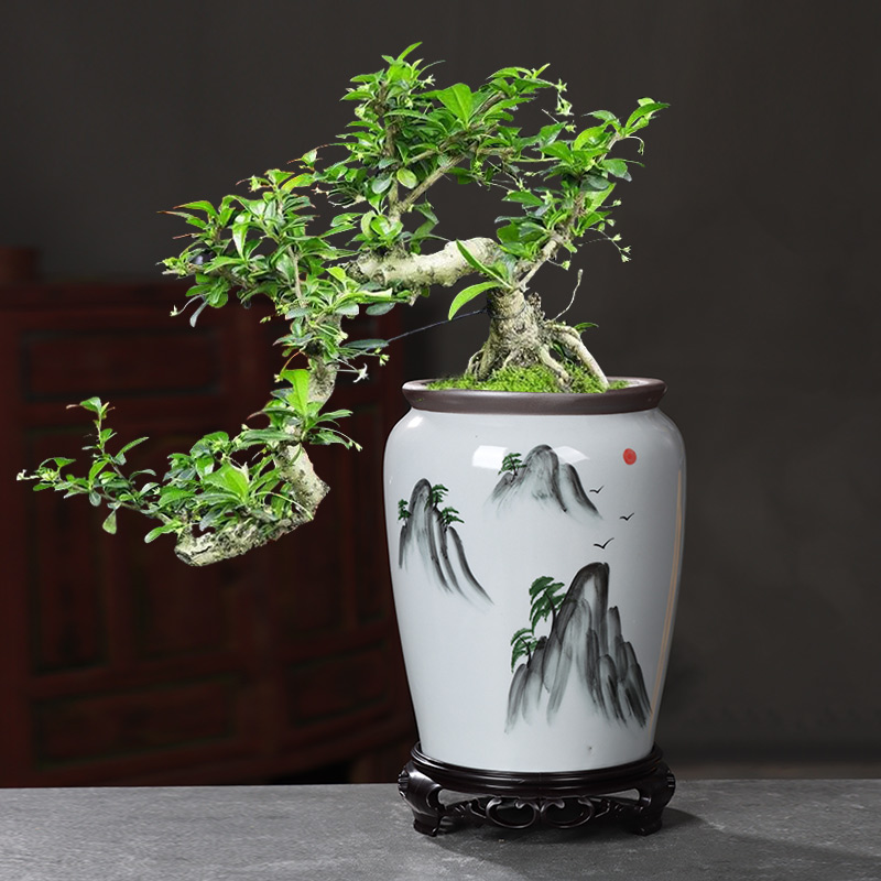 花盆陶瓷大号带托盘兰花专用透气控根多肉蝴蝶兰盆栽创意个性花瓶