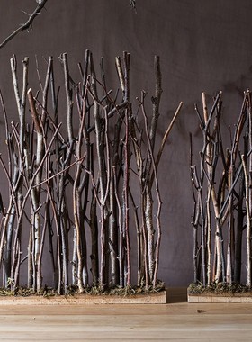 掬涵 天然榛木屏风 花艺树丛干枝 桌面地面装饰橱窗造景