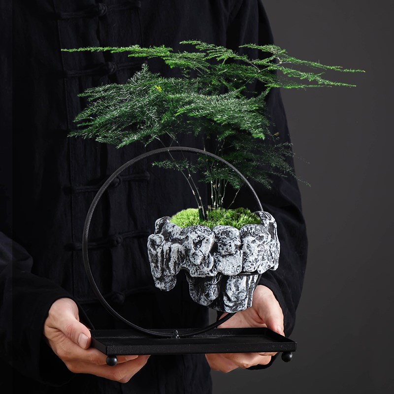 悬空铁艺文竹花盆创意中式仿真微景造景盆家居桌面装饰绿植盆景盆