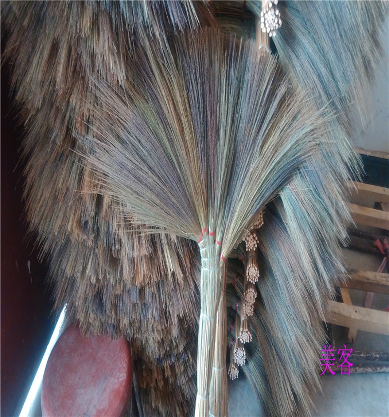 头发笤帚农村芒草扫把 芦苇扫把家用扫老式宿舍除尘