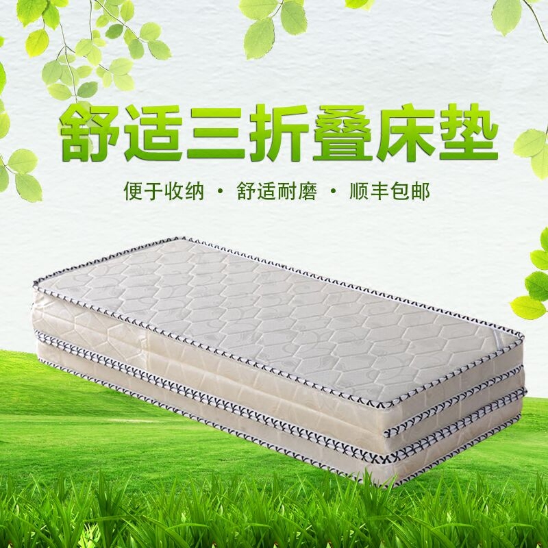 棕垫天然椰棕床垫棕榈垫硬垫.m经济型折叠儿童床垫米定制