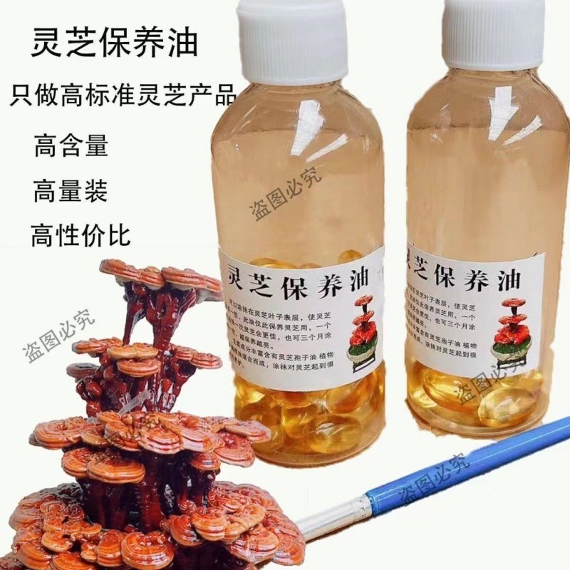活体真灵芝专用菌颗粒发酵肥料壮枝壮叶通用肥花卉绿植有机颗粒肥
