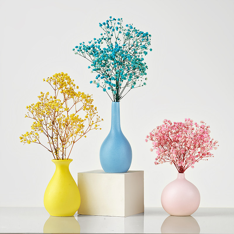 康乃馨绣球永生装饰桌子干束家居装饰真风干迷你文艺,家居饰品,婚庆/商业花艺,淘宝优惠券,粉丝福利购,淘宝优惠卷