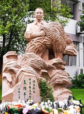 袁隆平名人像校园玻璃钢铸铜广场户外纪念意义展览馆雕像定制摆件