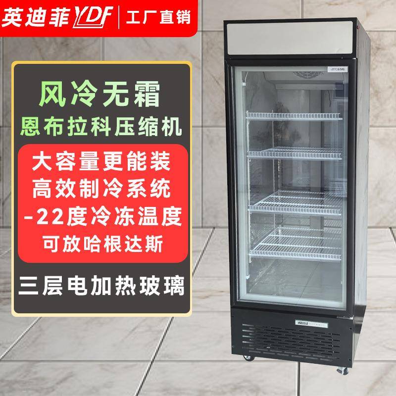 商用冷冻柜立式冷冻展示柜速冻肉类冻品单门立式冰箱低温冰柜