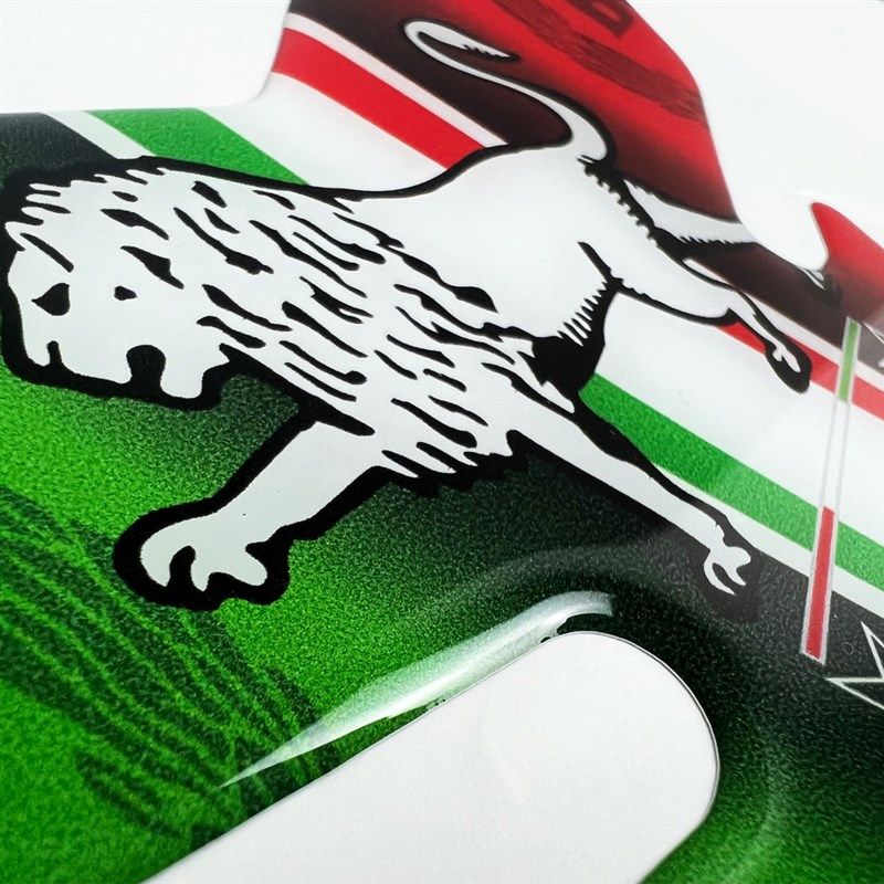 适用贝纳利BJ黄龙黄龙蓝宝龙2C改装油箱盖贴花鱼骨贴