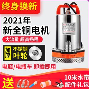 家用直流潜水泵水泵灌溉60抽水机小型V48V电动车抽水泵农用12V