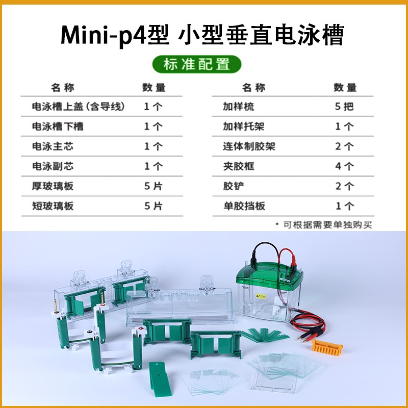 通用伯乐BioRad小型wb垂直电泳槽套装蛋白槽mini电泳仪1658001