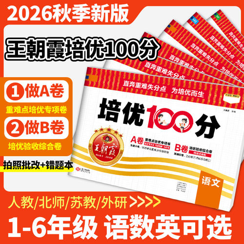 王朝霞培优100分小学拔高试卷