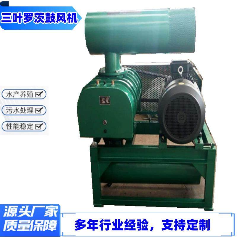 供应各行业用密集型罗茨风机污水处理粉体输送三叶罗茨鼓风机