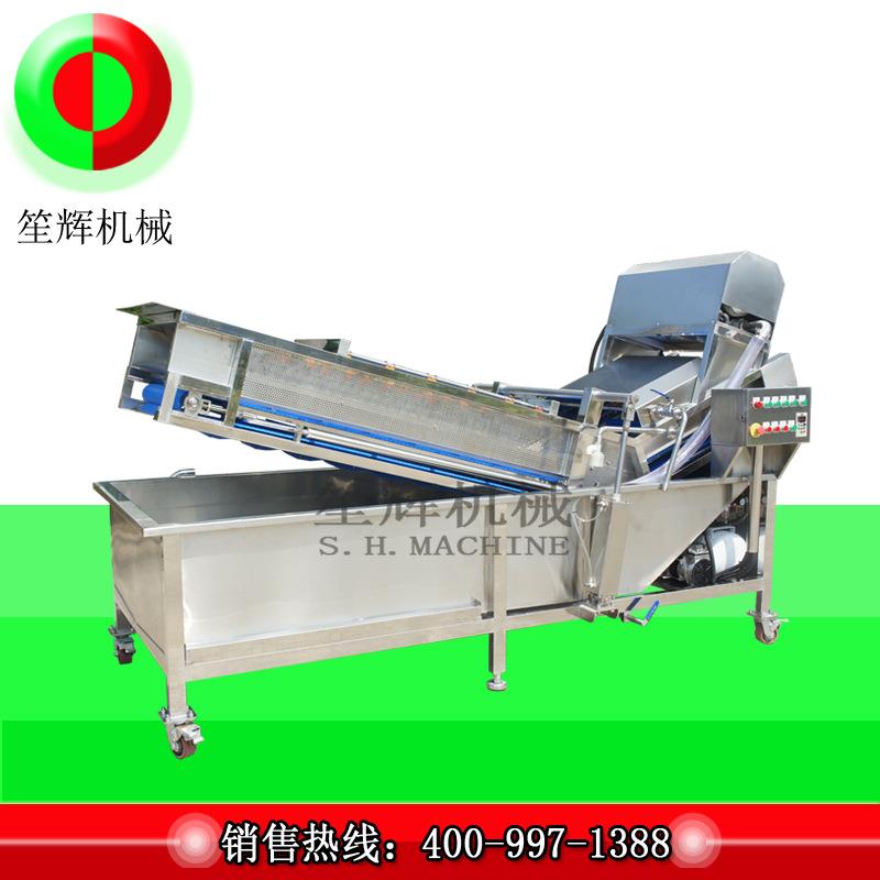 全网链输送提升臭氧洗菜机翻浪荔枝芒果气泡清洗机洗果设备