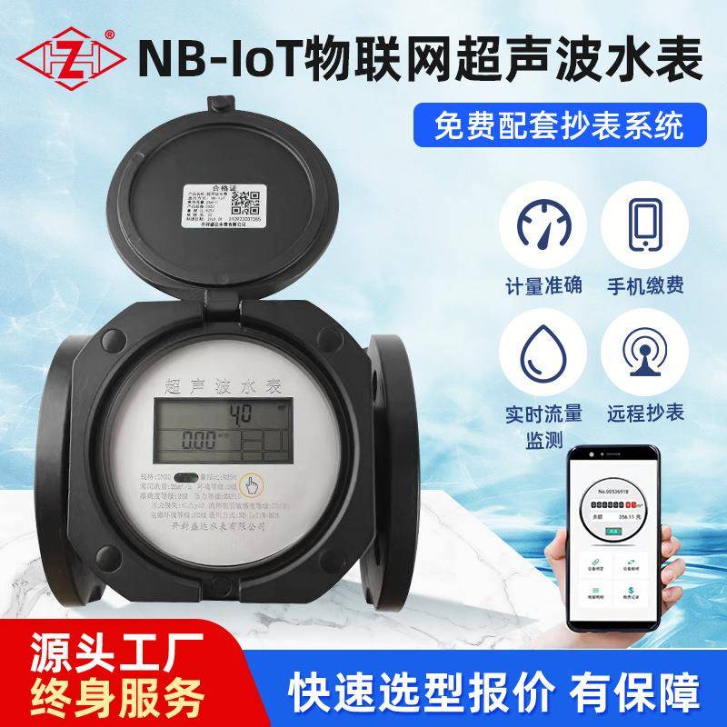 超声波远传水表球墨铸铁IP68防扰NB/485多输出城市供水化工管段表