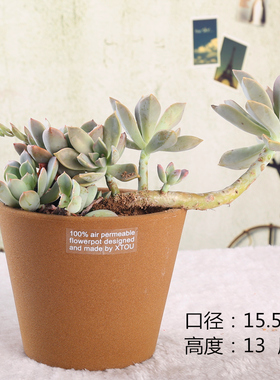 老盆友1613透气大花盆xtou会呼吸的创意多孔陶瓷爆款兰花老桩红陶