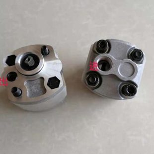 CBK F210 F213 动力单元 F220 F208 F216 F204.2 齿轮泵CBK