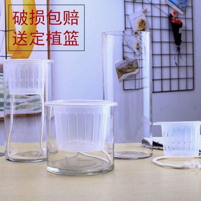 水培植物玻璃瓶 透明直筒圆柱形花瓶简约绿萝白掌水养瓶子容器