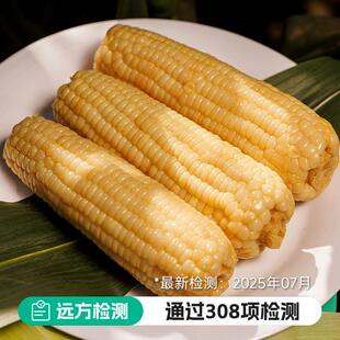 远方的梦想玉膳房白糯玉米甜糯玉米新鲜非转基因玉米0添加0农残