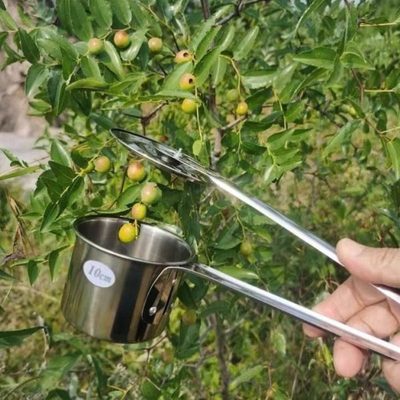 摘茶籽专用神器油茶果采摘神器高树摘果神器摘山楂神器不锈钢防扎