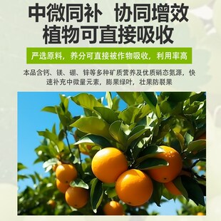 矿源黄腐酸钾中微量元素水溶肥加强钙镁硼铁锌果树蔬菜专用冲施肥