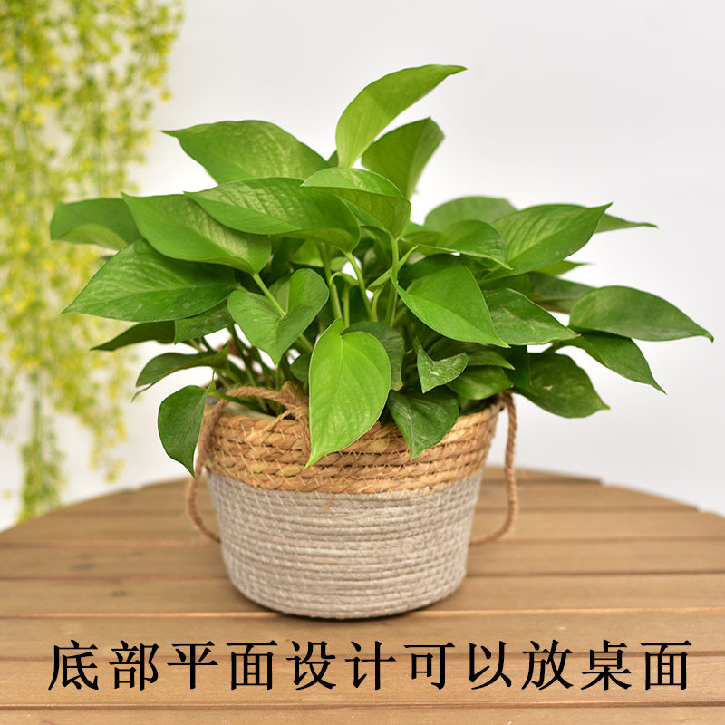手工草编篮藤编欧式田园创意墙面壁挂垂吊多肉悬挂绿萝吊兰盆,家居饰品,花篮,淘宝优惠券,粉丝福利购,淘宝优惠卷