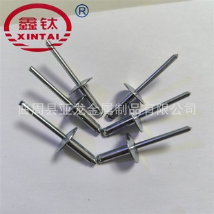 抽芯铆钉铁拉钉拉y柳丁全铁铆钉碳钢开口圆头大帽拉钉 全铁拉铆钉