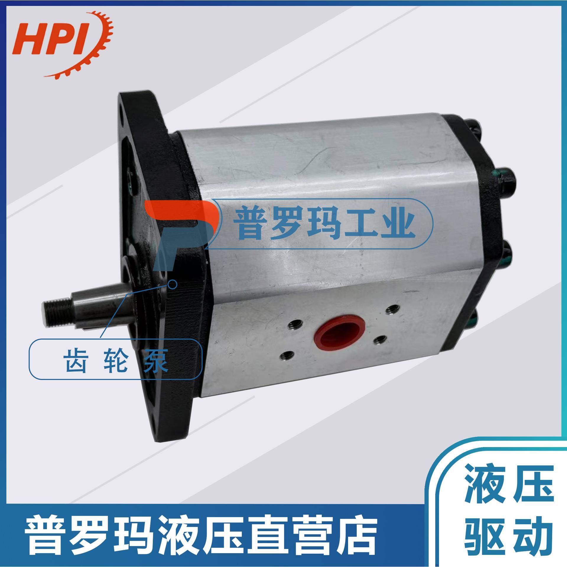 液压齿轮泵P1BAN3080HL10B03N可做国产代替