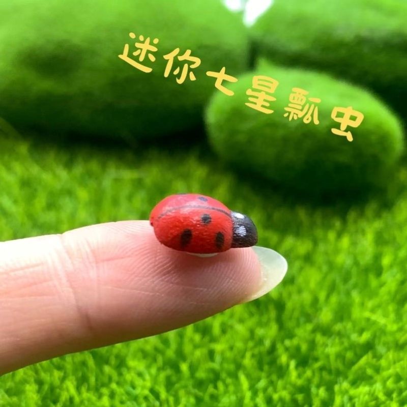 微景观木制甲壳虫七星瓢虫工艺品多肉苔藓生态瓶绿植创意造景摆件