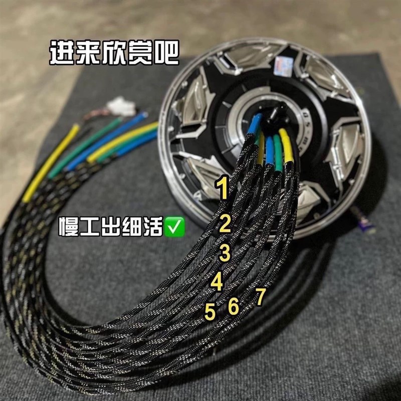 全顺电机12寸5代k瓦片轮廓电机竞技版3000wp6000wp9000wp电摩