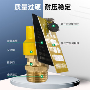 空压机安全阀代检测带第三方检验认证报告静音活塞气泵泄压阀