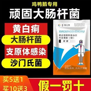 肠鸡大拉肚子痢白菌舒鹅鸭禽养殖炎菌稀粪稀式杆拉杆黄家鸡沙门肠