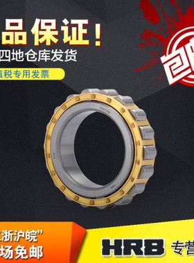 TMB 天马轴承 RN219 M 502219 H BW BWY 摆线减速机轴承偏心轴承