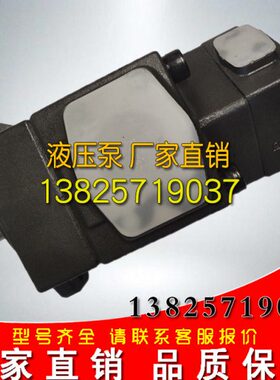 14//-F-FV23111019///281P/126/251/237机床-压力泵/8R1油泵-F/R