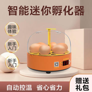 6枚全自动孵化器小型家用智能孵化器智能小鸡迷你孵化器