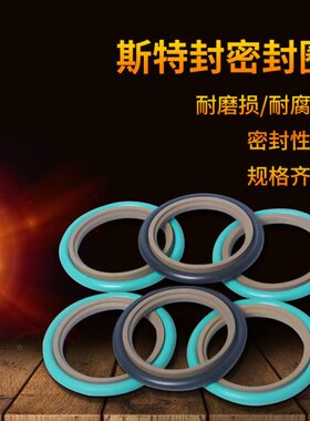 /斯特封/48/50046轴活塞4500/4520ST0斯特封/5密封用/1070490d/