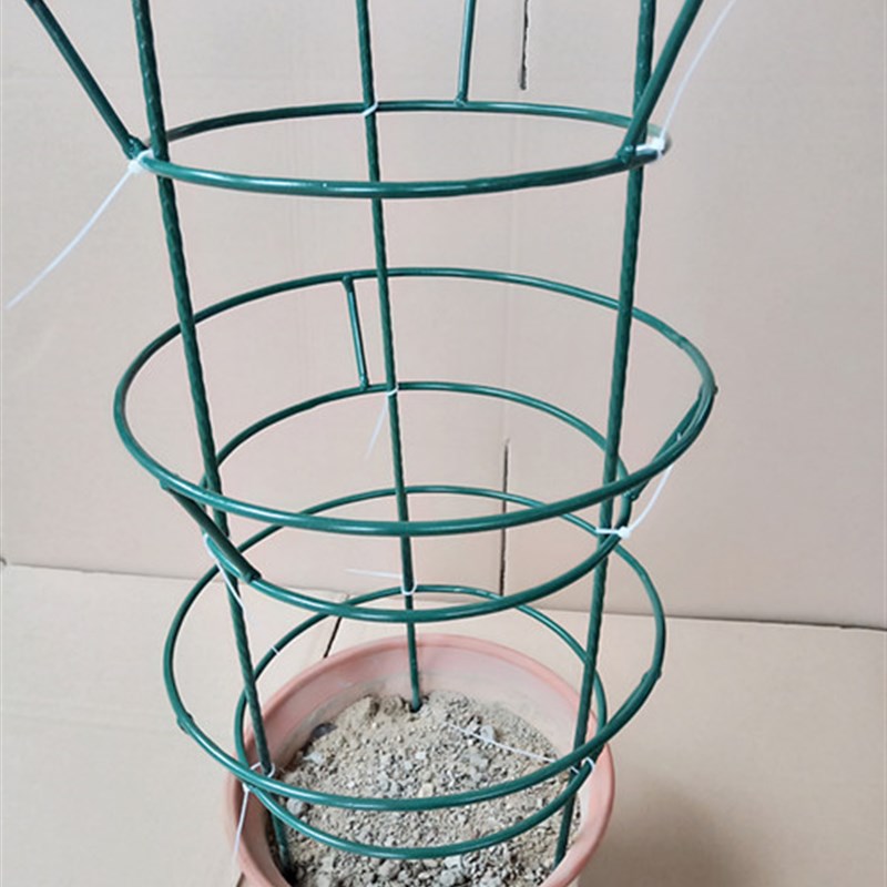 蟹爪兰仙人掌嫁接球兰花架支架攀爬园艺固定架支撑架高100组装