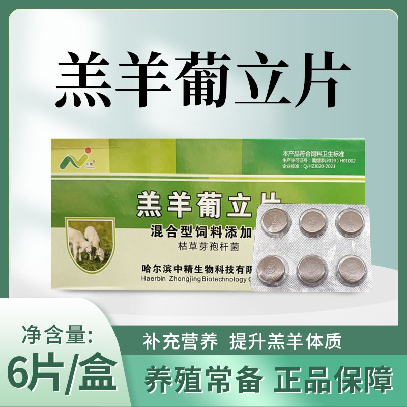 中精羔羊葡立片一盒六片羔羊瘫软站不起来无力卧地不吃奶醉酒样