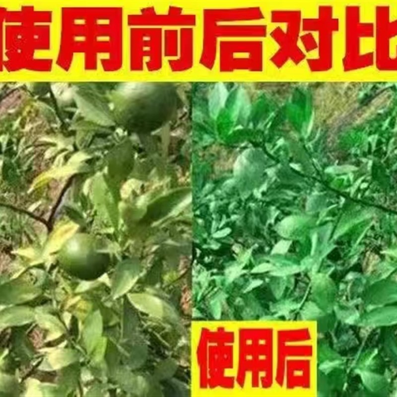 黄化黄龙病果树专用药RO一217 柑橘溶水清水型无渣原料ro