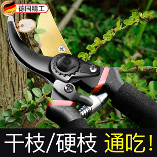 德国进口SK5钢强力园艺剪省力修枝剪园林花木果树嫁接剪专用工具