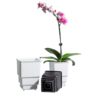 美莳蝴蝶兰花盆方形透气超陶瓷塑料育苗杯子文心兰石斛控根盆