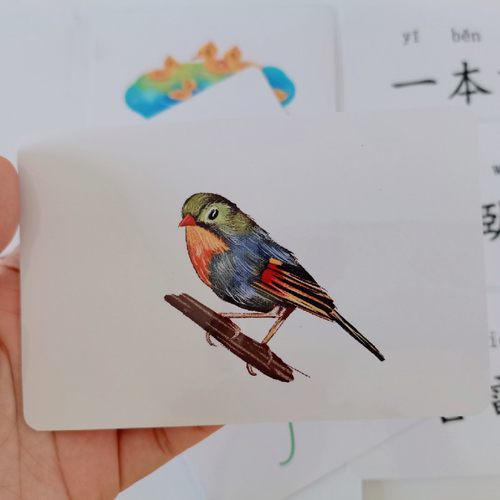 儿童看图识量词卡 拼音认字繁体字识字咭 图互动卡片式教学